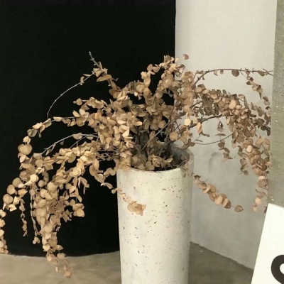 兽设写实风格绘画FurryQQ群